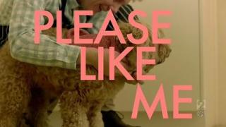 Please Like Me
