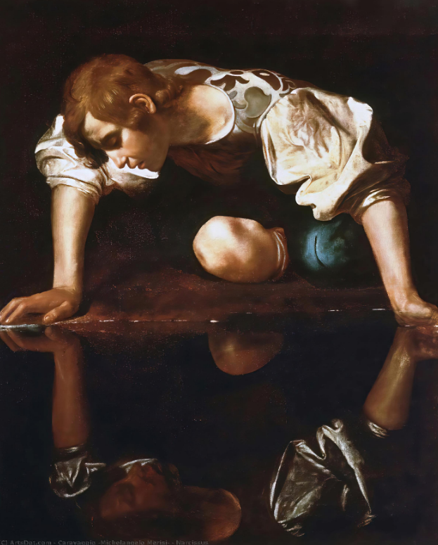 1599 - Narcisse